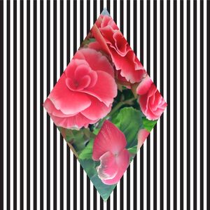 GEOMETRIC FLOWER 1