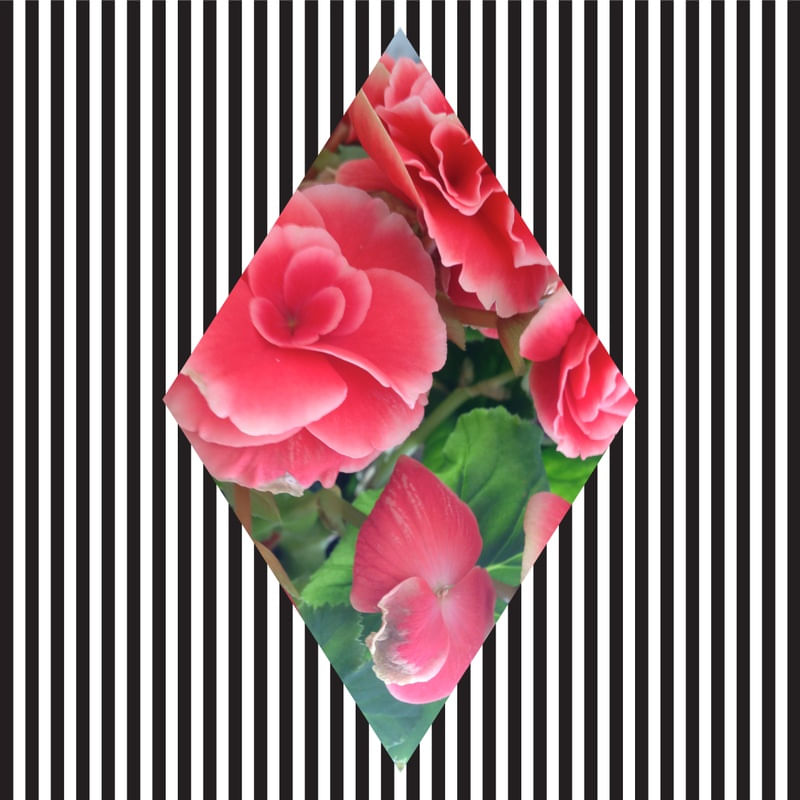 GEOMETRIC FLOWER 1