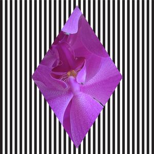GEOMETRIC FLOWER 3