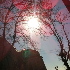 URBAN SUNSHINE