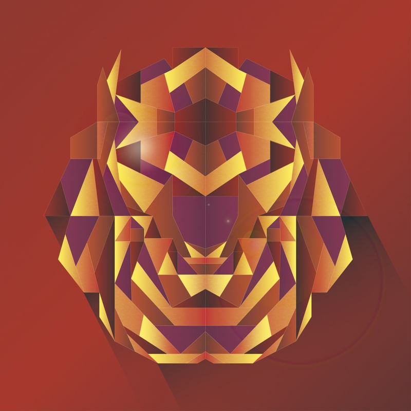 TIGER MASK