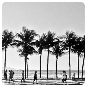 RIO COPACABANA ORLA PALMEIRAS LIFESTYLE 197