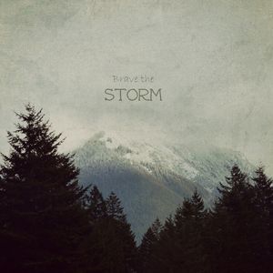 BRAVE THE STORM