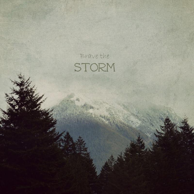 BRAVE THE STORM