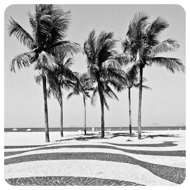 COQUEIROS DE COPACABANA 237