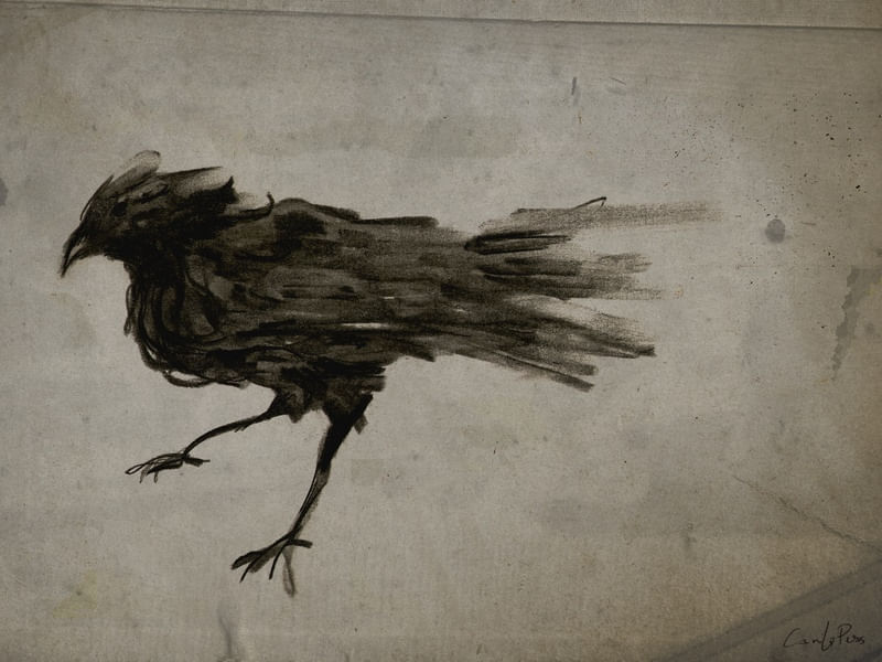 CORVO