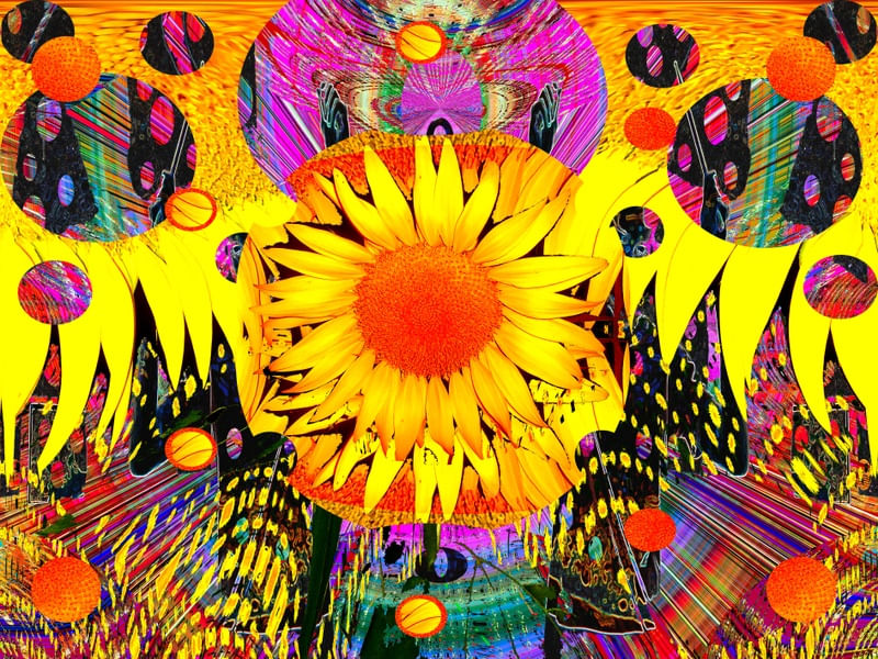 TROPICMAGICLAND