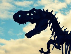 RAWR