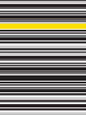 PB STRIPES 3
