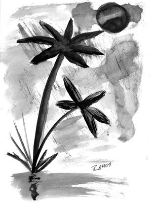 COQUEIROSPRETOS