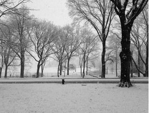 NEWYORK-3