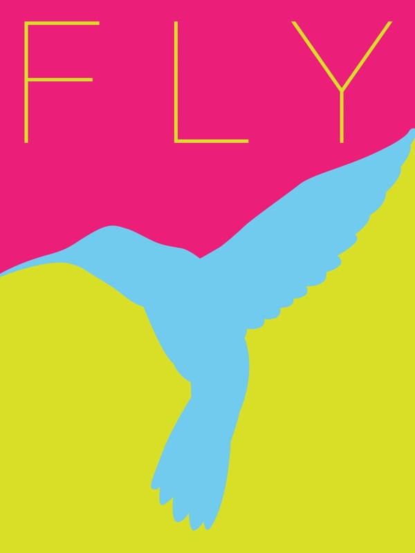 FLY MINIMALISTA