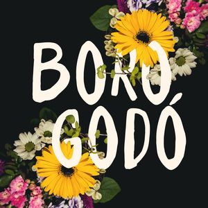 BOROGODÓ