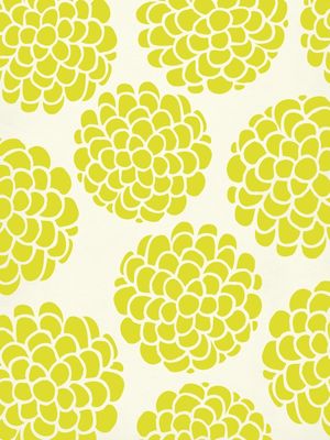GRAPES BLOSSOMS