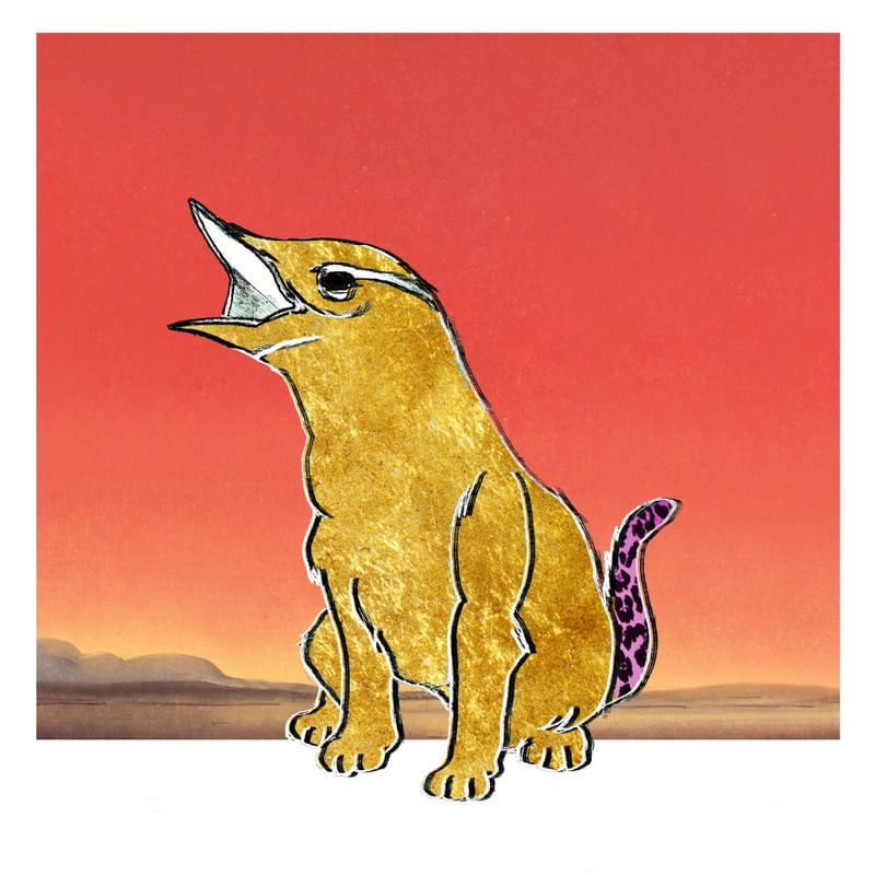 YPNK BIRCATTO