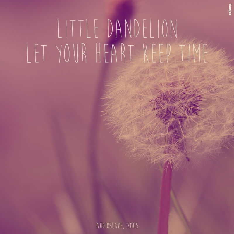 DANDELION