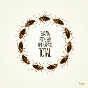 BARATO TOTAL