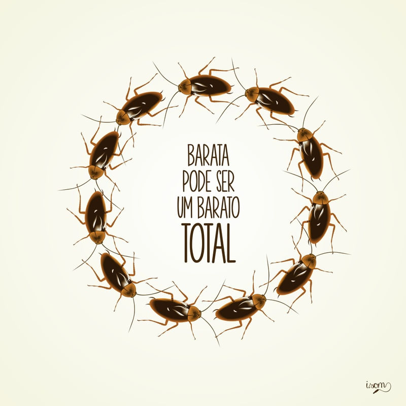 BARATO TOTAL