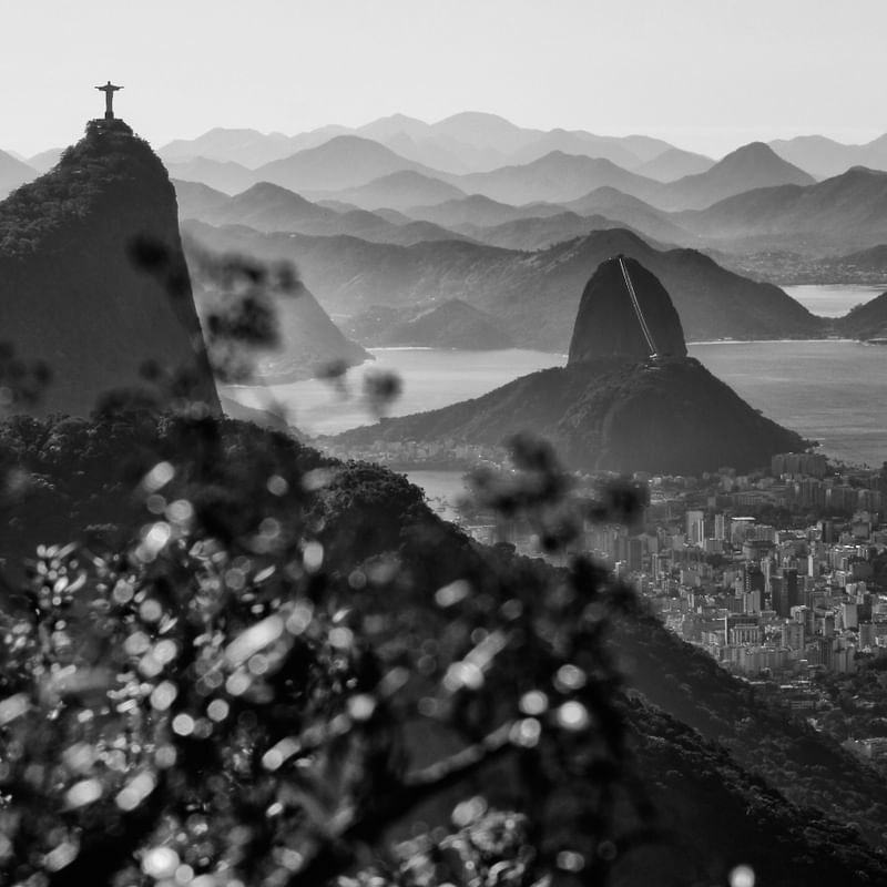 LOVE YOU RIO