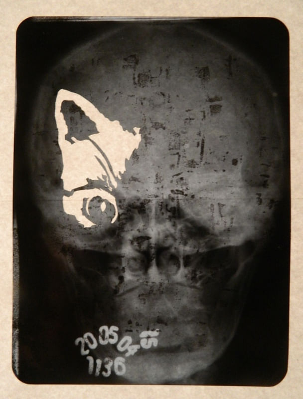 YPNK SKULLCATTO