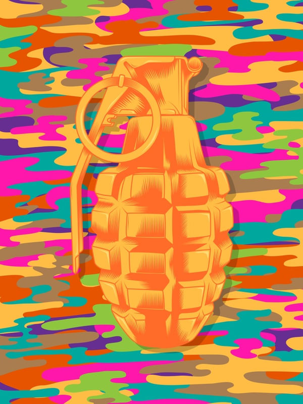 FLAMBOYANT CAMOUFLAGE