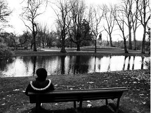 AMSTERDAM VONDELPARK2