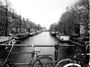 AMSTERDAM BIKE3