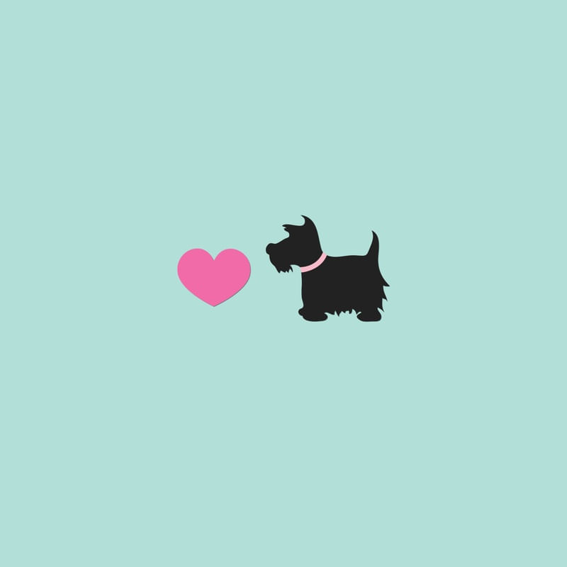 SCOTTISH TERRIER