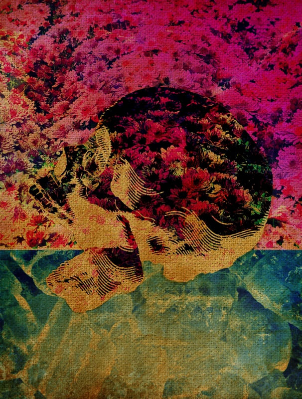 S K U L L