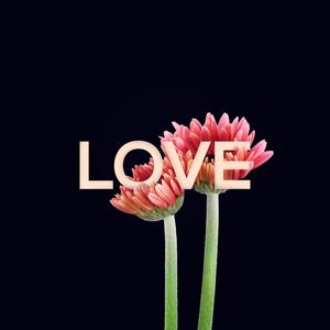 LOVE AND FLOWER