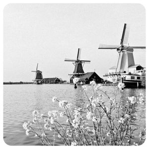 MOINHOS DE VENTO DA HOLANDA 250
