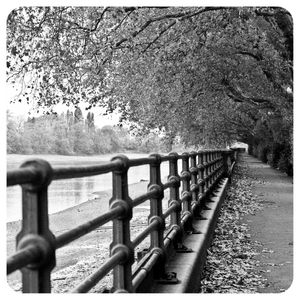 PERSPECTIVA PARQUE LONDRES INGLATERRA THAMES RIO 263