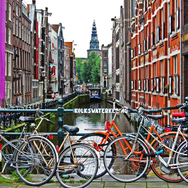 BICI COLORS
