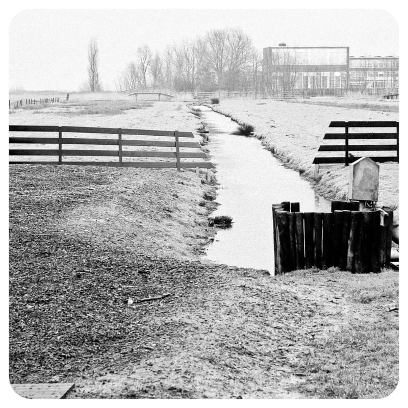 PAISAGEM RURAL PORTEIRA CANAL ÁRVORE HOLANDA 283