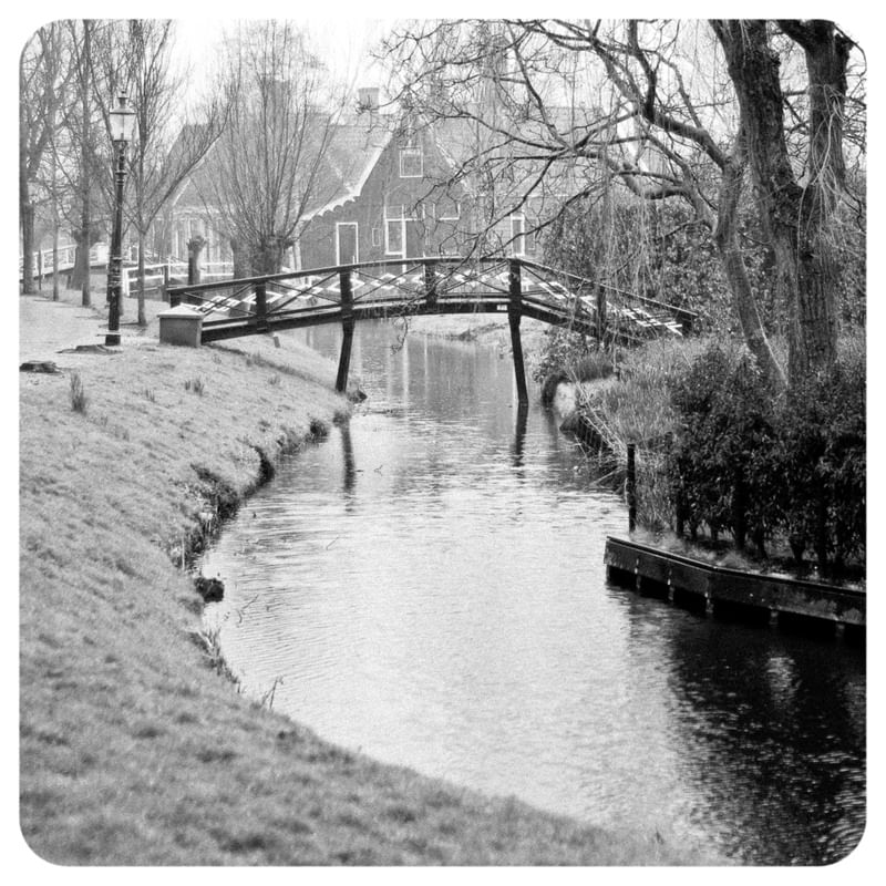 CENA RURAL HOLANDA PONTE CANAL ÁRVORA 286
