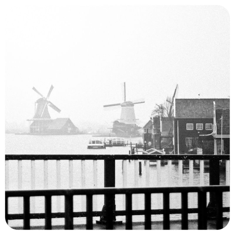 CENA TIPICA HOLANDA MOINHOS VENTO PONTE 287