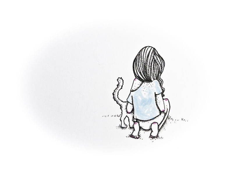 MEU GATO