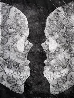 GOBLET ILLUSION