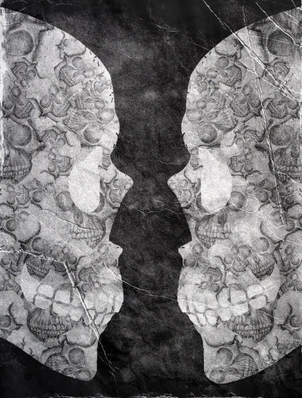 GOBLET ILLUSION
