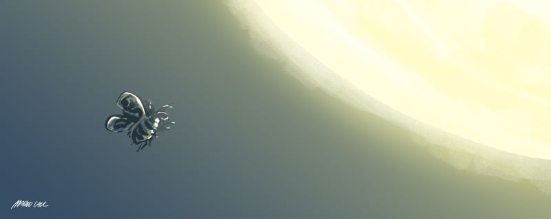 ICARUS