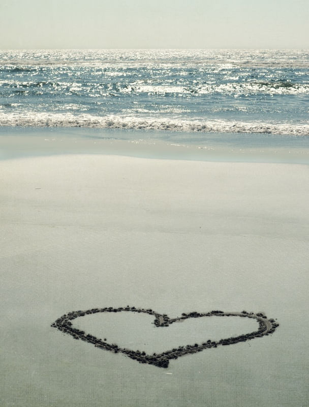I LOVE THE SEA