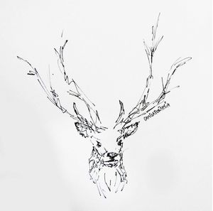 DEAR DEER