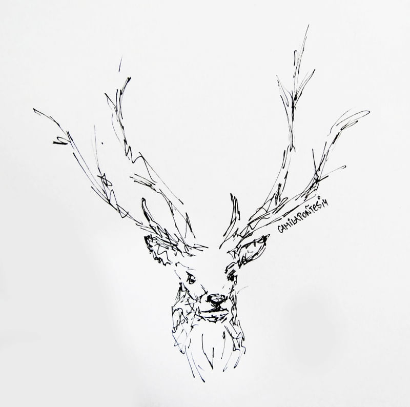 DEAR DEER