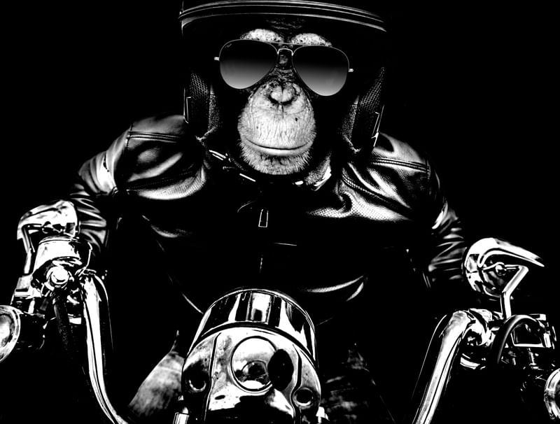 MONKEY MOTORCYCLE