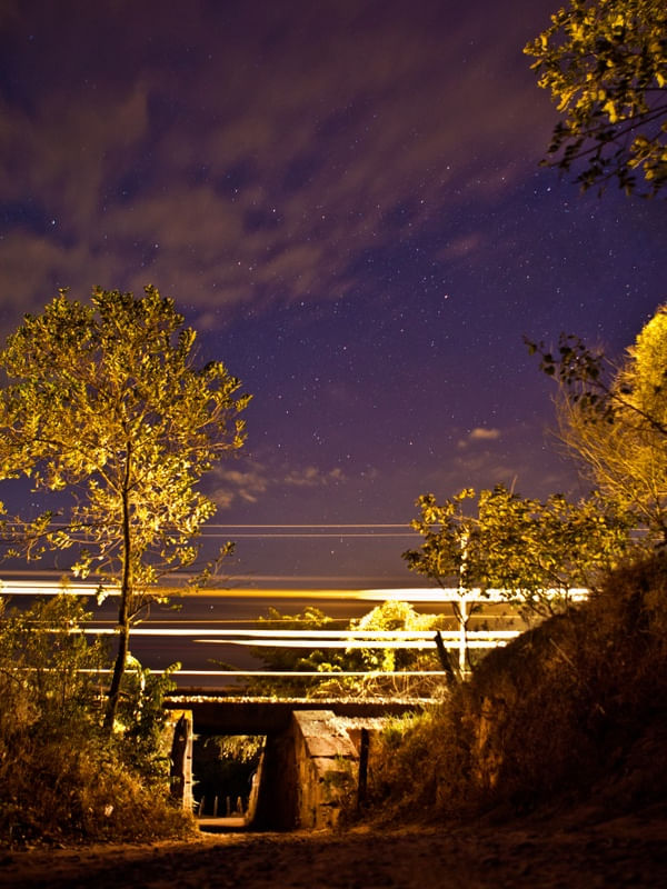 TREM MINEIRO