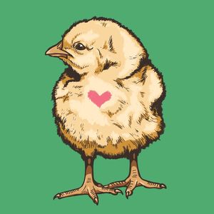 ANIMAIS AMOROSOS PINTINHO