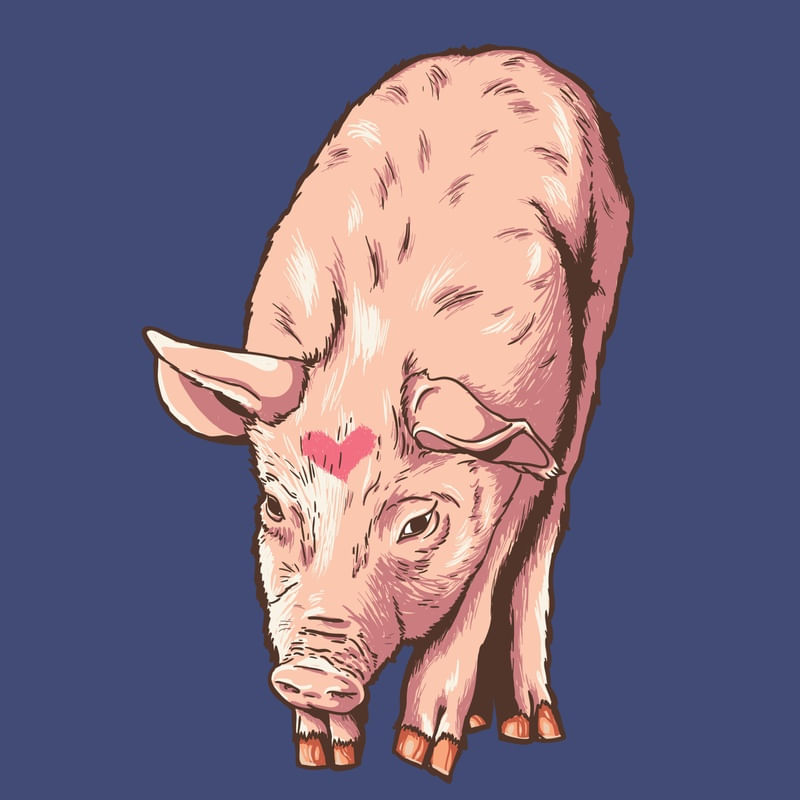 ANIMAIS AMOROSOS PORCO