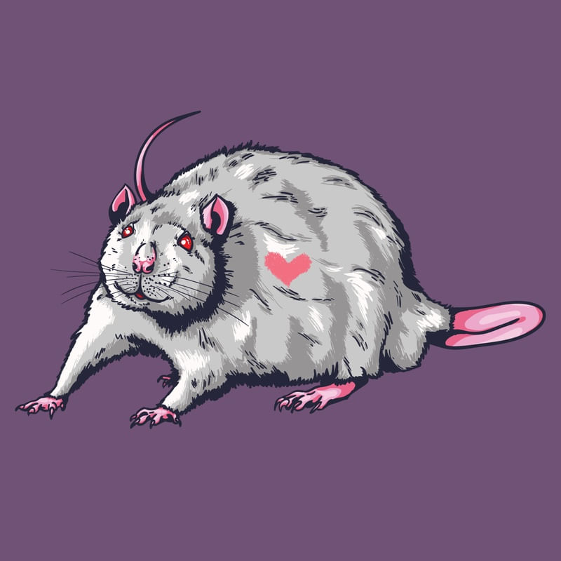 ANIMAIS AMOROSOS RATINHO