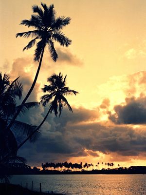 AMANHECER NA LAGOA