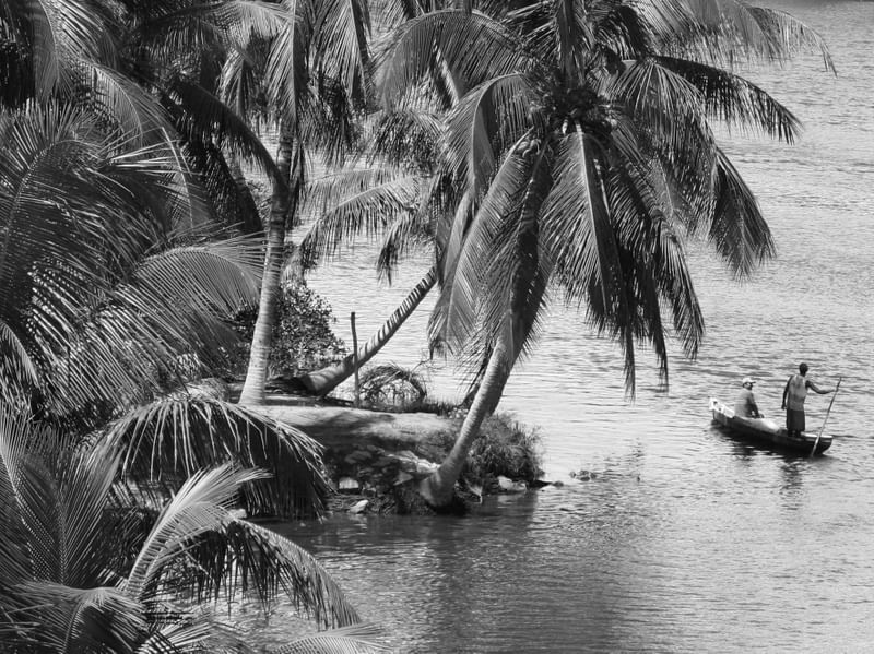 PESCADORES DA LAGOA III